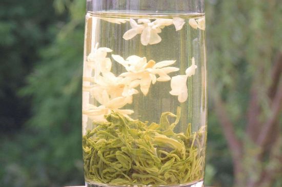 茉莉龍珠可以和什么一起泡茶，茉莉龍珠茶能加蜂蜜嗎？