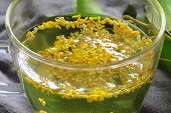 茉莉茶一次泡幾朵，茉莉茶放多少