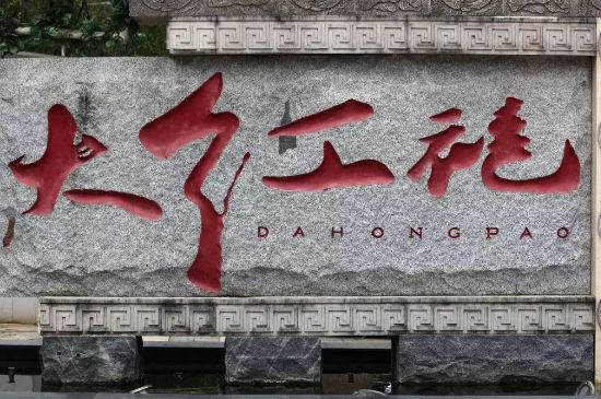 母樹大紅袍給誰喝了，為什么母樹大紅袍叫三棵六株？