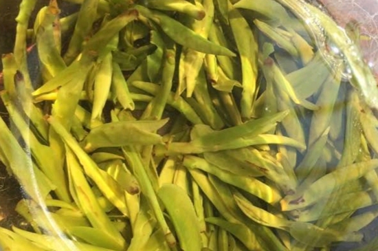 龍井是明前的好還是雨前的好，明前茶和雨前茶哪個好喝？