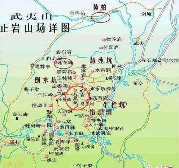 母樹大紅袍給誰喝了，為什么母樹大紅袍叫三棵六株？