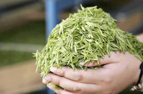 高山云霧茶屬于什么茶，高山云霧茶哪里的最好