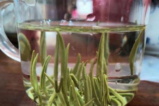 踏雪蘭妃是什么茶，踏雪蘭妃是哪里的茶葉?