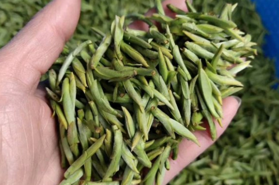 龍井茶好壞的鑒別圖片，如何區(qū)別龍井茶的好壞？