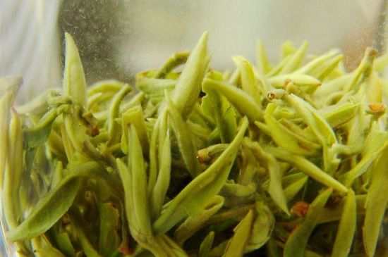 碧螺春為什么泡水渾濁，碧螺春茶葉泡水感覺很臟是混濁的