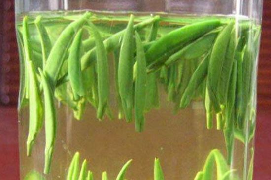 竹葉青和毛尖的區(qū)別，毛尖和竹葉青怎么分辨？