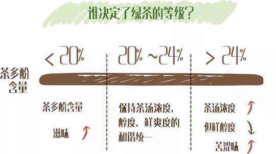 什么綠茶口味重口感濃郁，口味比較重的綠茶都有那些？