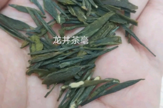 西湖龍井茶毫和發(fā)霉區(qū)別圖片，長(zhǎng)霉的龍井茶葉會(huì)是什么樣？