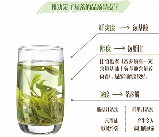 什么綠茶口味重口感濃郁，口味比較重的綠茶都有那些？