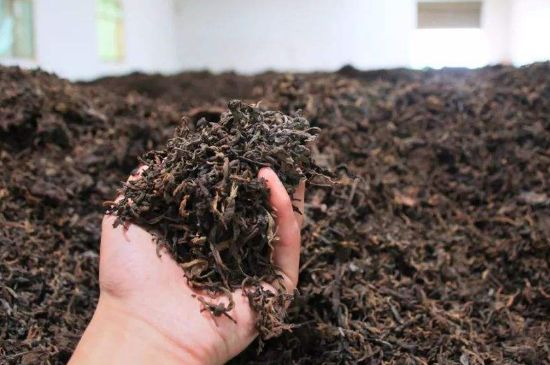 茯磚茶與普洱茶哪個(gè)好，茯茶和普洱茶口味區(qū)別