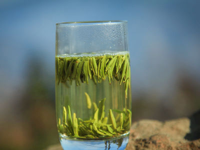 竹葉青茶怎么樣，檔次較高味道略苦價(jià)格比較貴