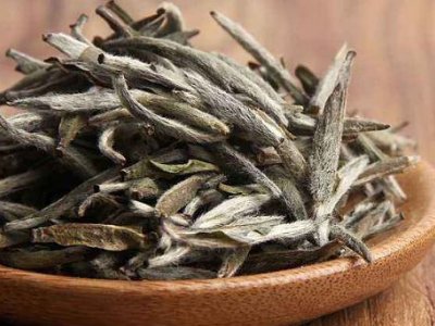 白茶有哪些品種排名，<a href=http://m.huxthp.com/fenlei/baicha/ target=_blank class=infotextkey>白茶的種類</a>大全