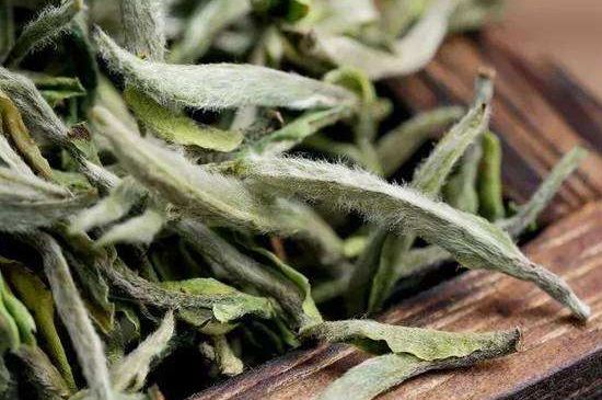 荒野銀針有什么特點，荒野銀針的味道口感咋樣？