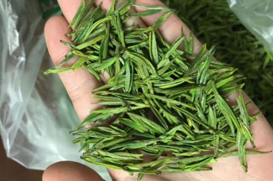 什么綠茶茶葉唇齒留香，哪個(gè)品種綠茶香氣好？