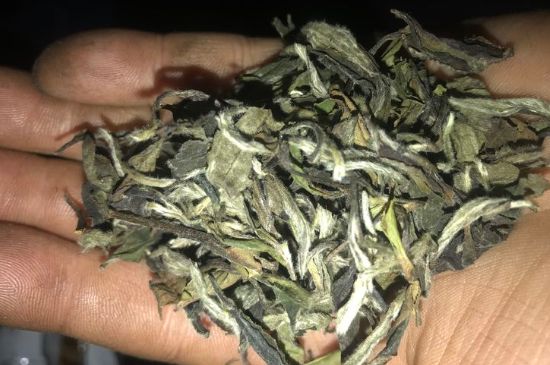 7年壽眉和2年白牡丹哪個好，老白茶壽眉與白牡丹的口感區(qū)別