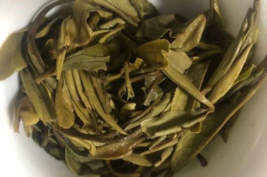 三年白茶賽砒霜，這是真的嗎？