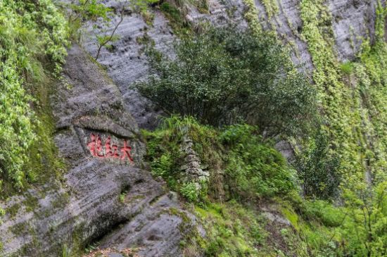 大紅袍為什么沒(méi)保質(zhì)期，武夷巖茶大紅袍能放幾年？