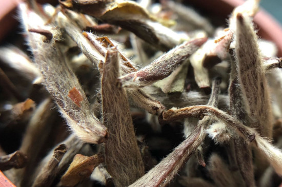 白毫銀針年份越久越好嗎，銀針白毫是否越陳越好