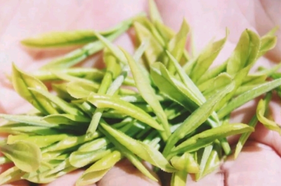 龍井是明前的好還是雨前的好，明前茶和雨前茶哪個好喝？