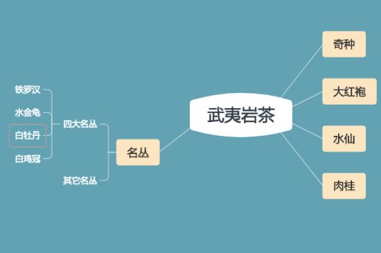 武夷巖茶品種大全，巖茶有幾種？