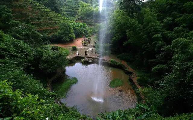 武夷山為什么盛產茶葉，武夷山茶為什么好喝？
