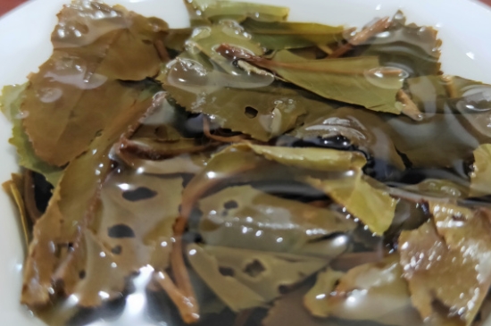 白茶三年為藥七年為寶的原理，為什么說一年茶三年藥七年寶？