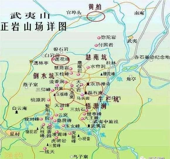 300塊錢(qián)的金駿眉能喝嗎，兩三百多金駿眉和一千多區(qū)別