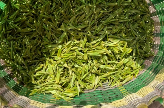 龍井是明前的好還是雨前的好，明前茶和雨前茶哪個好喝？