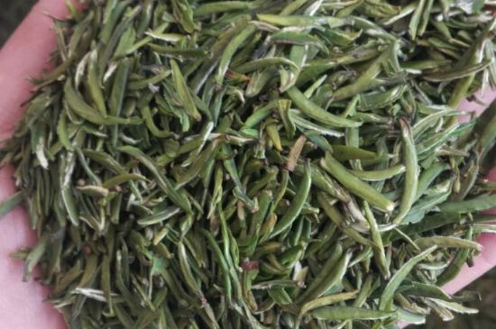 金壇雀舌算不算好茶，金壇雀舌屬于什么檔次茶葉？
