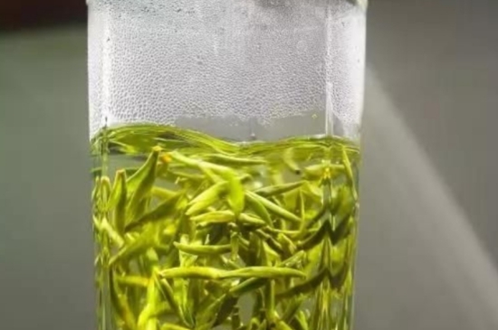 西湖龍井茶毫和發(fā)霉區(qū)別圖片，長(zhǎng)霉的龍井茶葉會(huì)是什么樣？