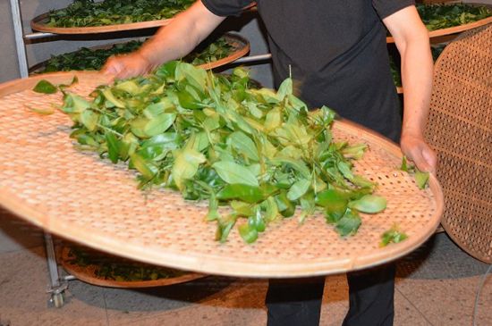 鐵觀音加香精騙局，鐵觀音的香味是添加香精了嗎？