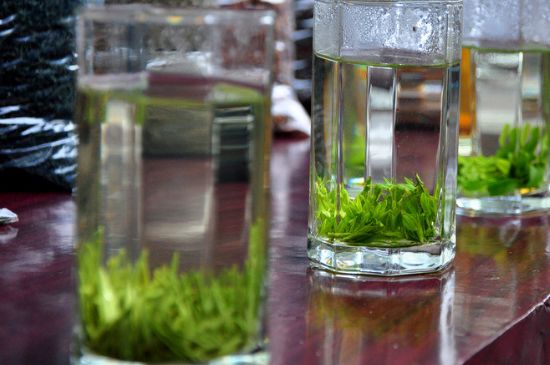 綠茶放了三年還能喝嗎，綠茶放久了喝了會(huì)怎樣