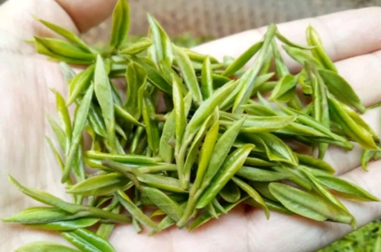 什么是雪前龍井茶，明前、雨前、雨后龍井有什么區(qū)別？