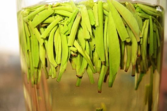 雀舌為何喝著是苦的，雀舌味道怎么那么苦澀？