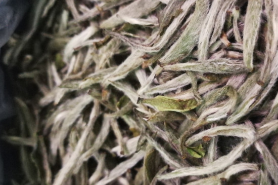 白毫銀針年份越久越好嗎，銀針白毫是否越陳越好