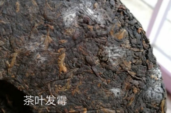 西湖龍井茶毫和發(fā)霉區(qū)別圖片，長(zhǎng)霉的龍井茶葉會(huì)是什么樣？